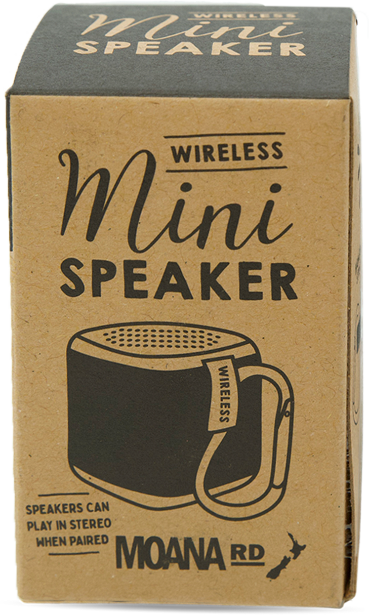 Mini Speaker