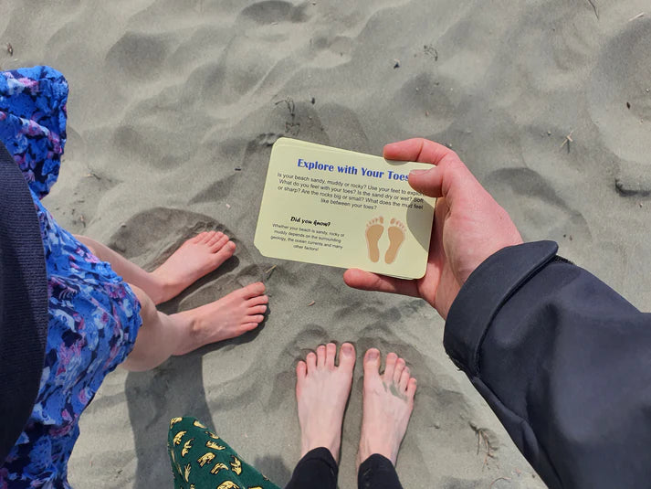 At the Beach Treasure Hunt | Nature Fun Card Games