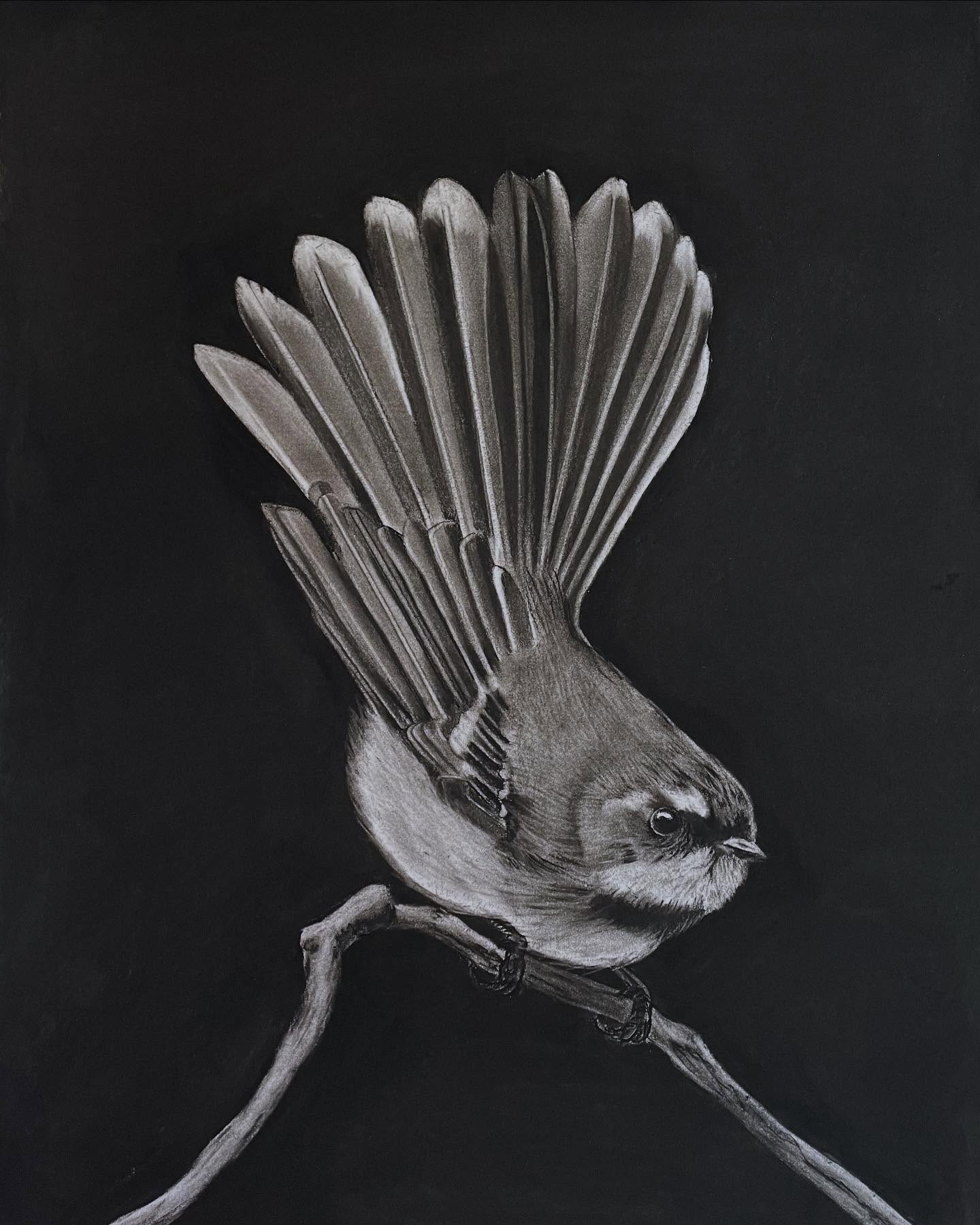 Piwakawaka 2025 - Limited Edition Print