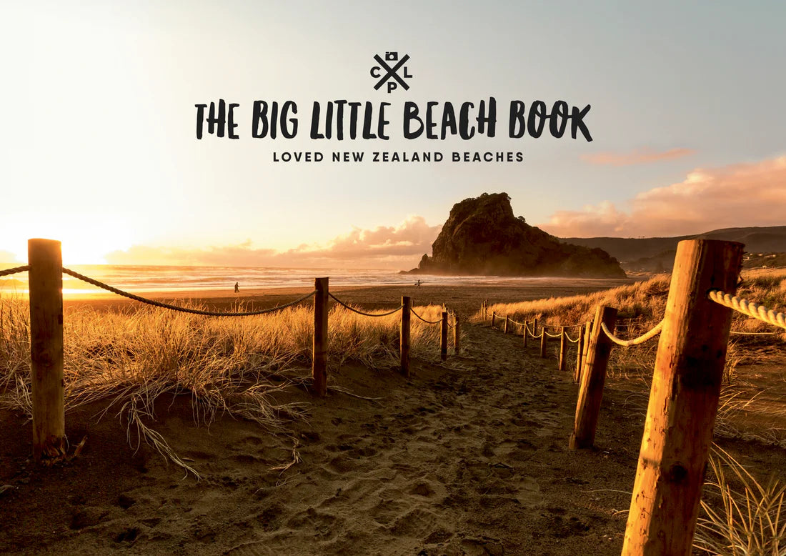 Big Little Beach Book