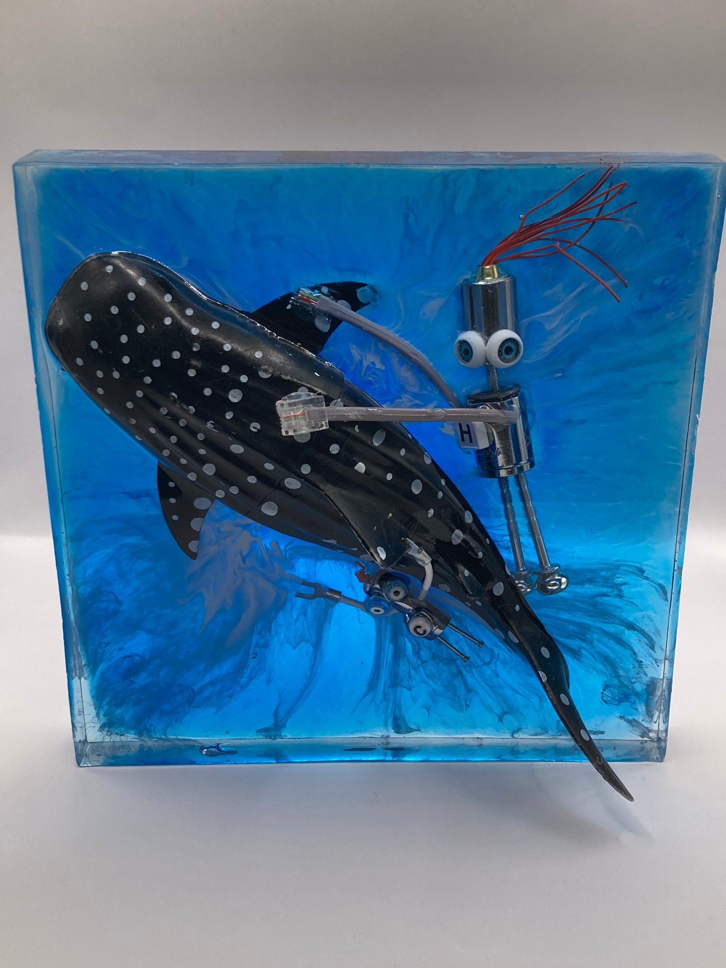 Cryobot - Whale Rider