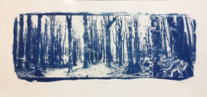 Forest - Limited Edition Solargraph Print