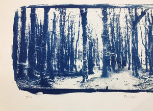 Forest - Limited Edition Solargraph Print