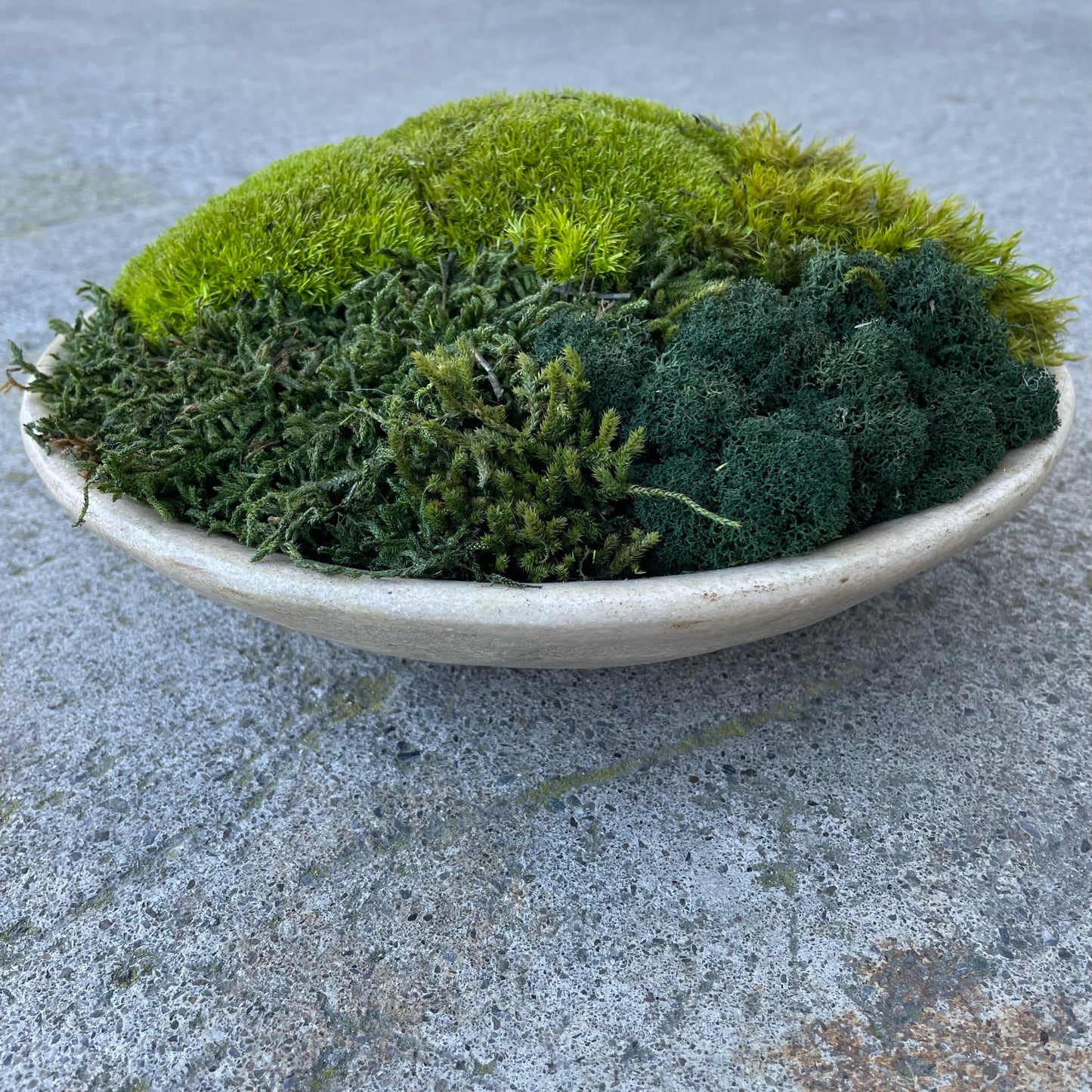 Marble Stone Bowl - Preserved Moss