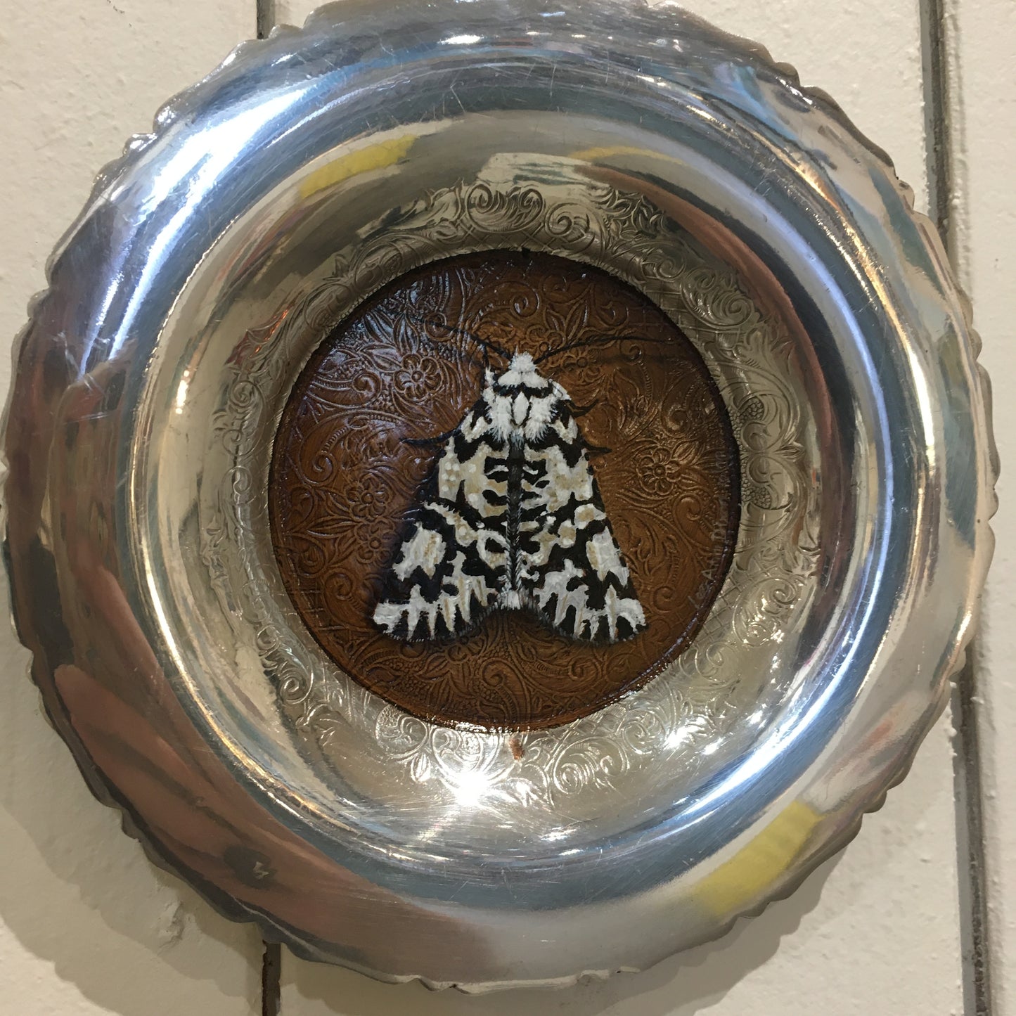 North Island Lichen Moth - Original Painting