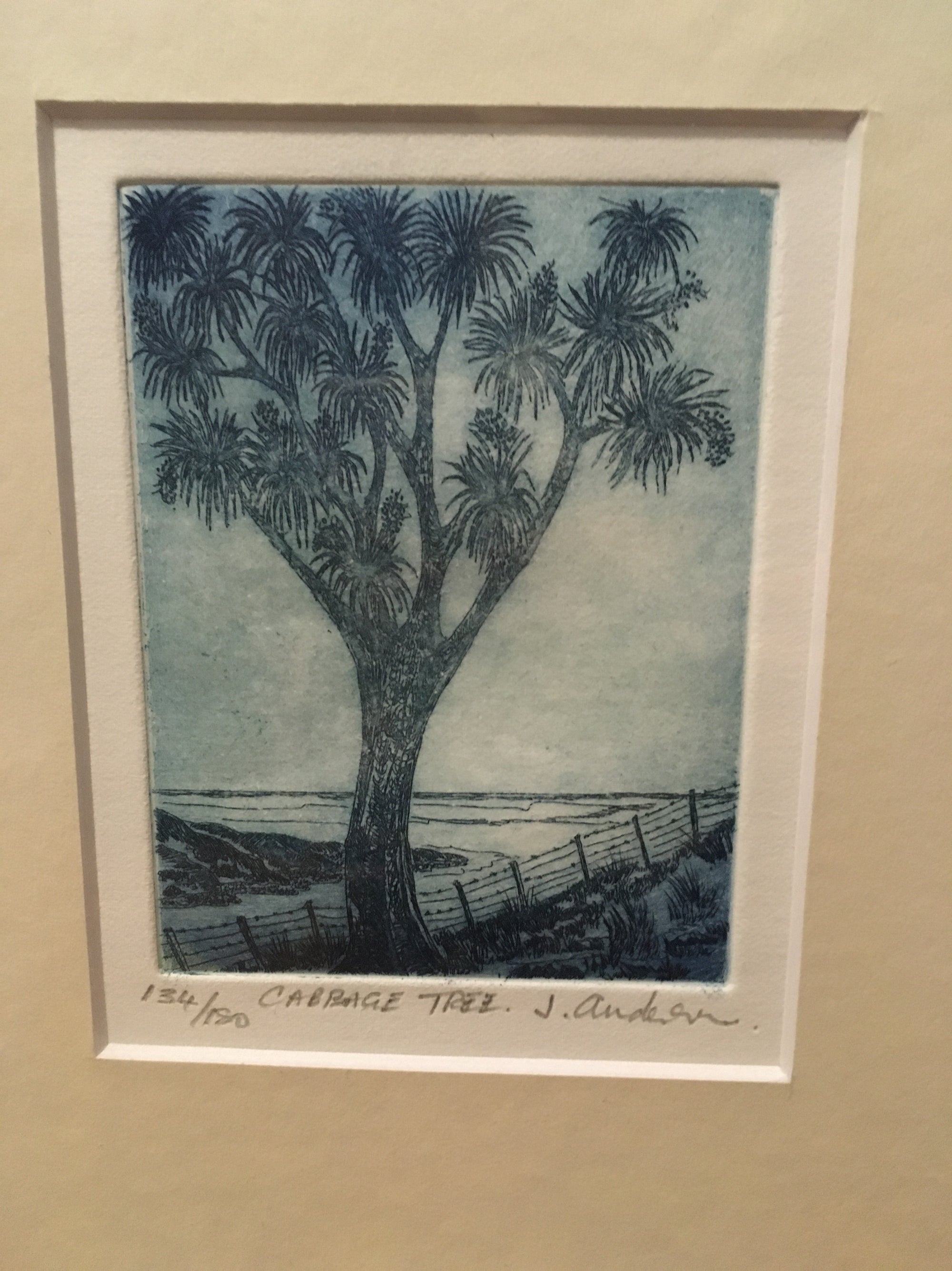 Cabbage Tree Limited Edition Etching