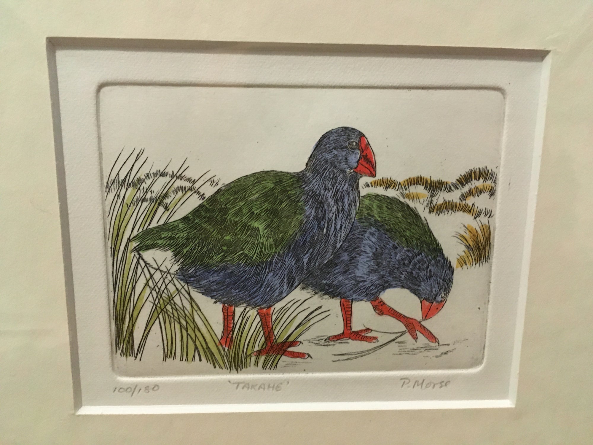 Takahe Limited Edition Etching