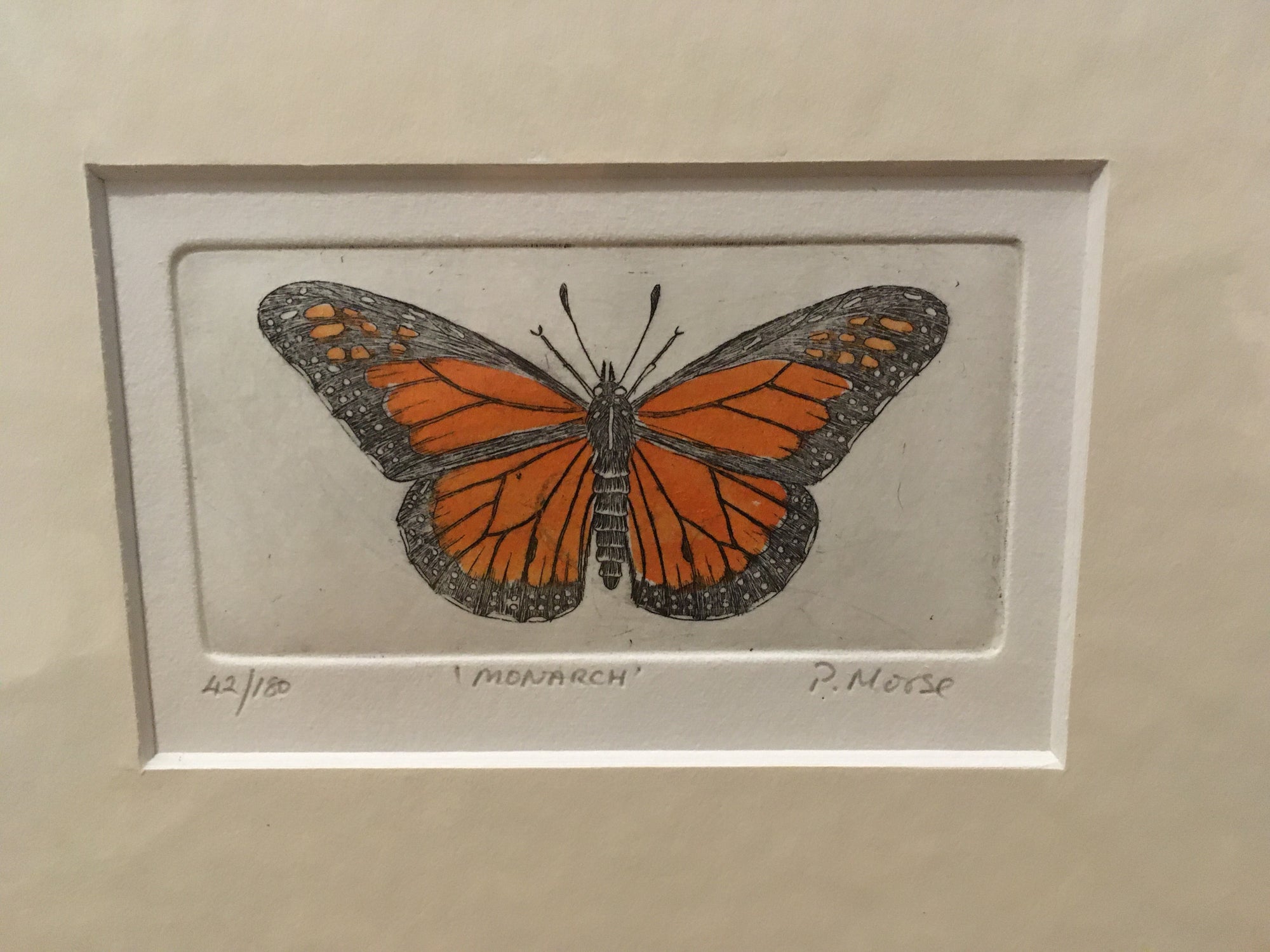 Monarch Limited Edition Etching