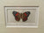 Red Admiral Limited Edition Etching