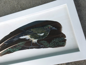 Bellbird - Korimako - Painted Feather