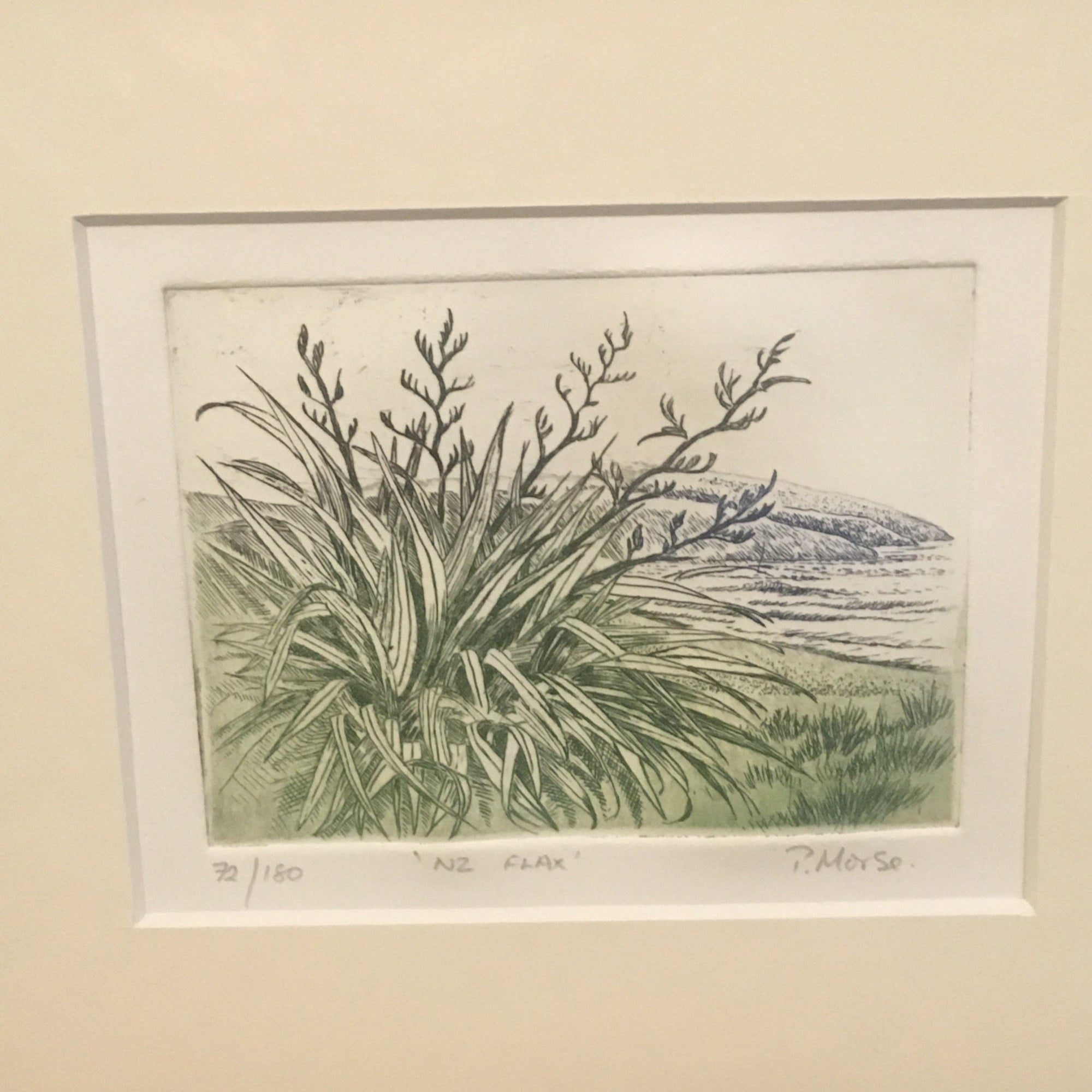 NZ Flax Limited Edition Etching
