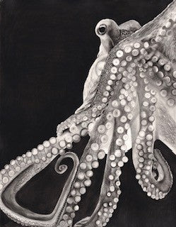 Wheke 2025 - Limited Edition Print