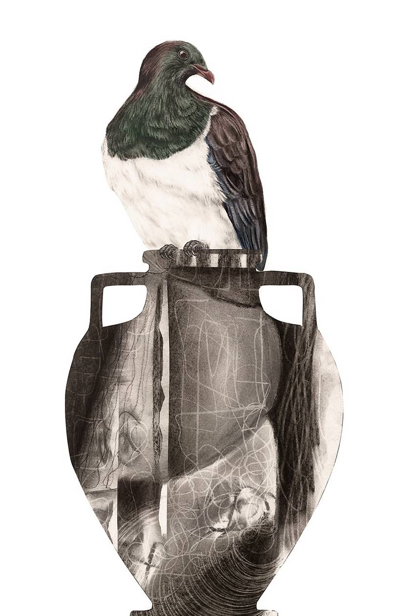 Kereru Vase 2024 - Limited Edition Print