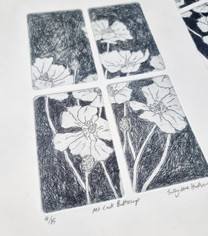 Mt Cook Buttercup - Drypoint Print