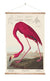 Flamingo Wall Chart