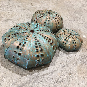 Copper Kina Shells