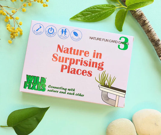 Nature in Surprising Places | Nature Fun Card Games