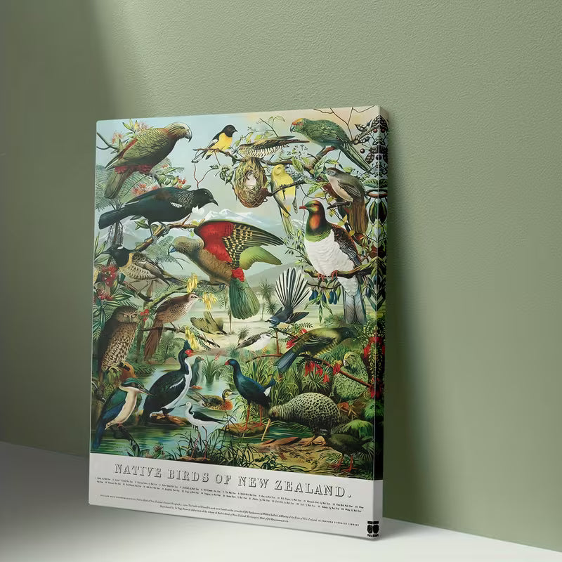Native Birds Wall Chart