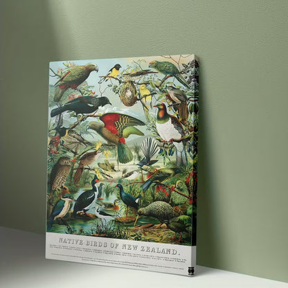 Native Birds Wall Chart