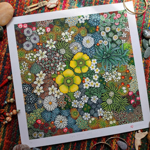 Alpine Flowers - Limited Edition Print