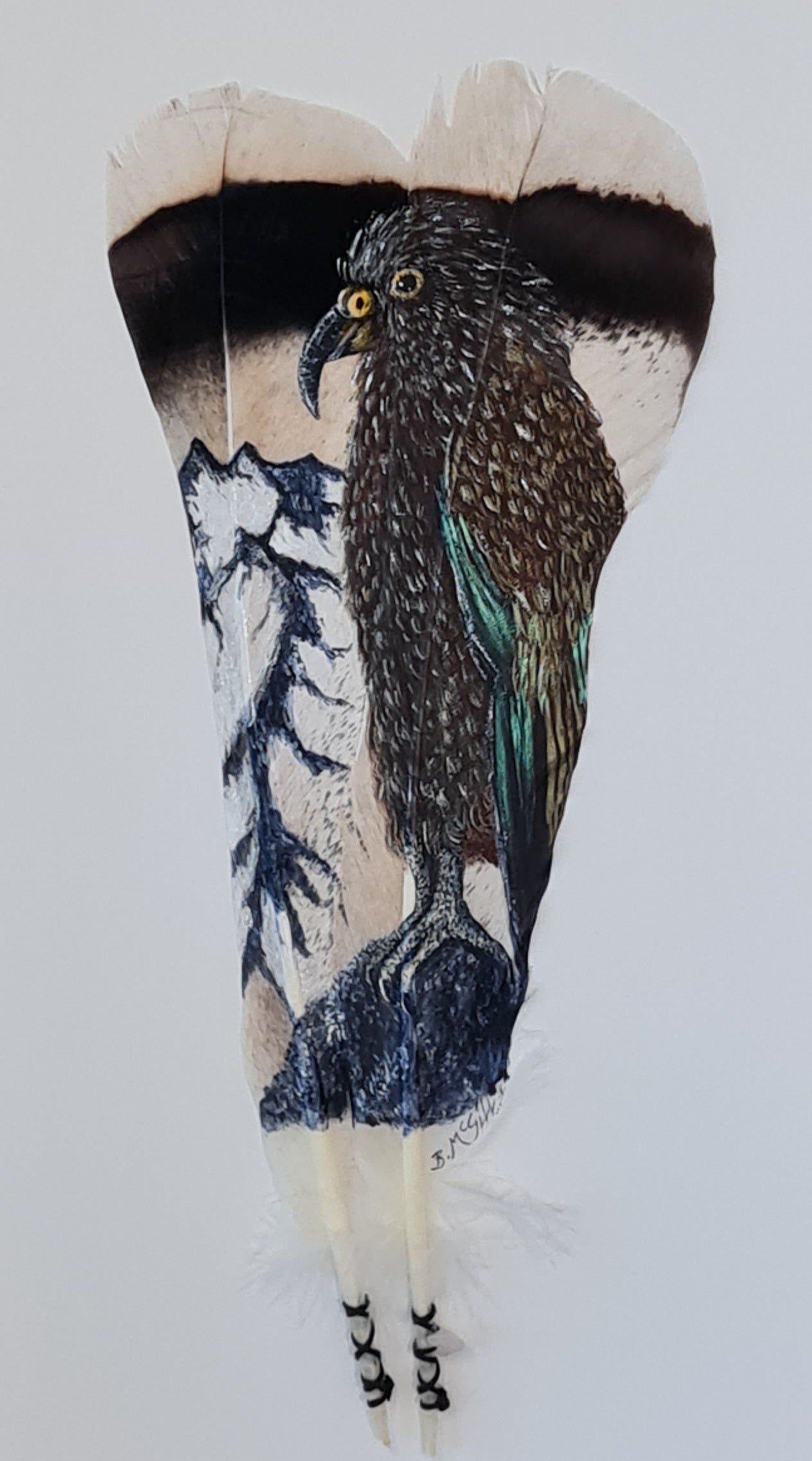 Kea in the Mountains - Painted Feather