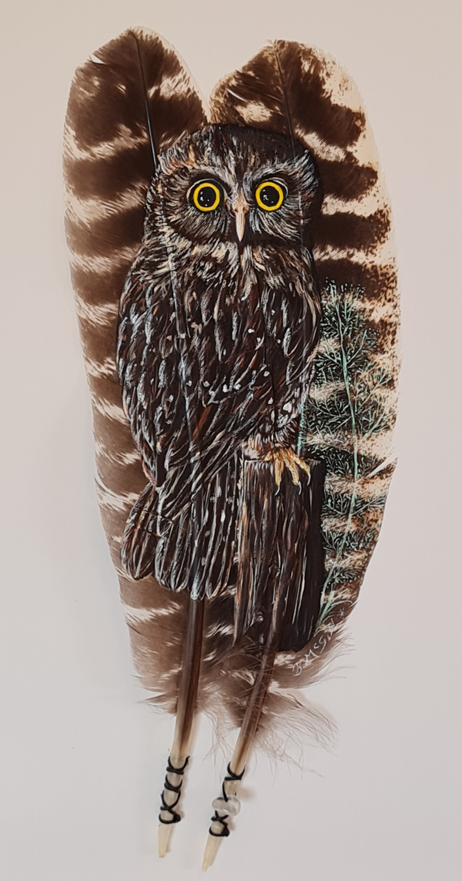 Morepork - Ruru - Painted Feather