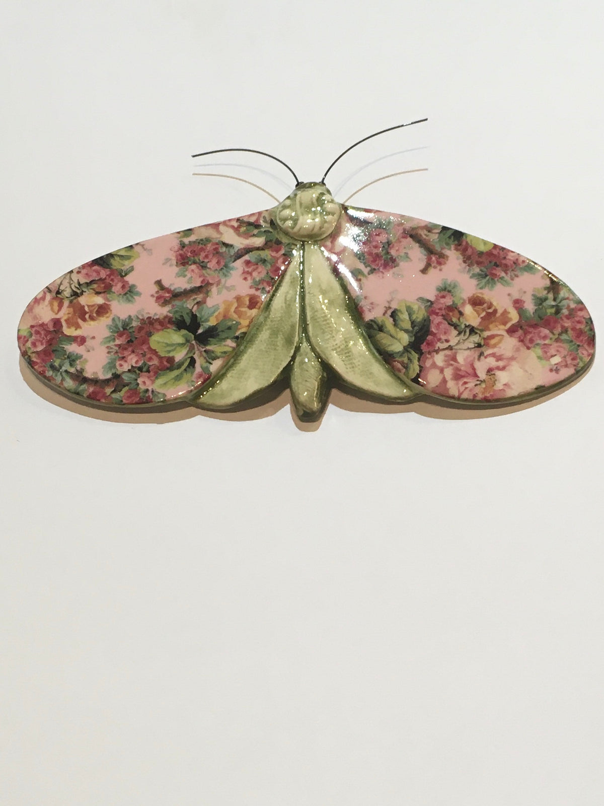 Porcelain Moths