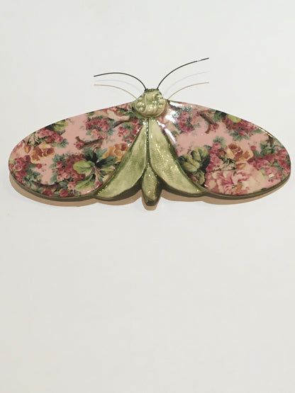 Porcelain Moths