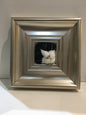 Purr…fect Cats