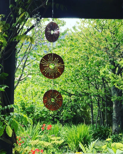 Trio Spinning Alliums