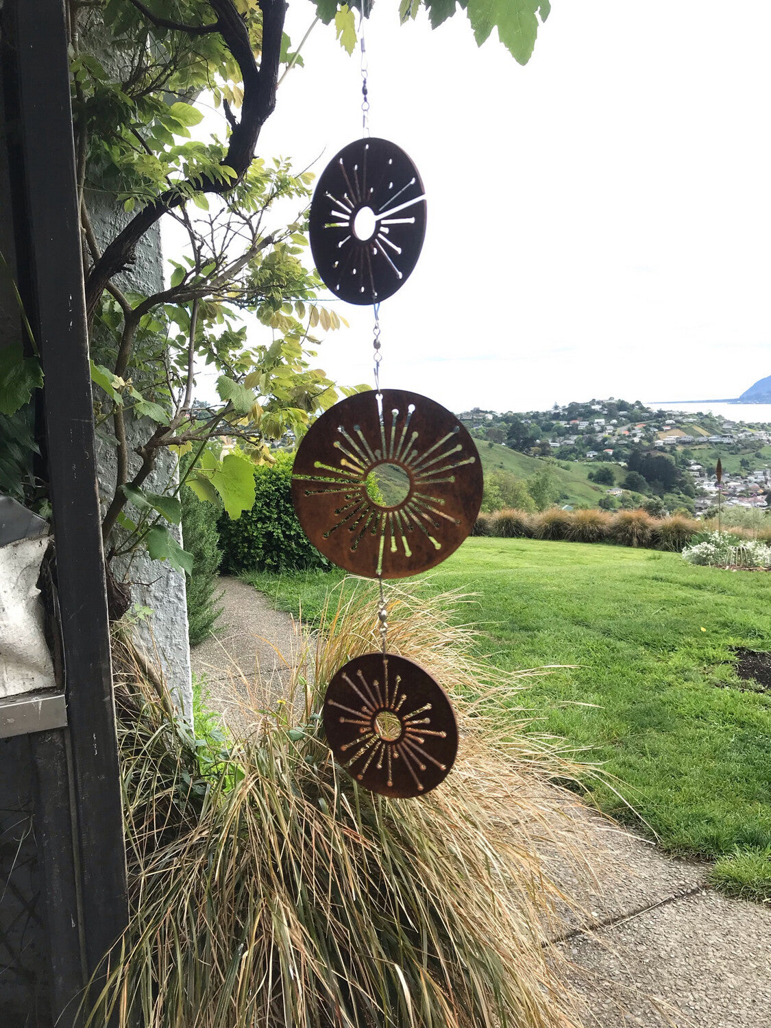 Trio Spinning Alliums