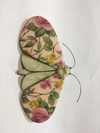 Porcelain Moths