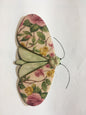 Porcelain Moths
