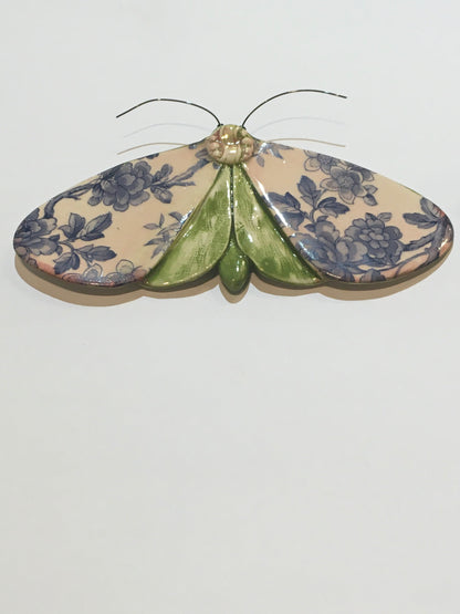 Porcelain Moths