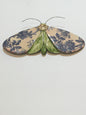 Porcelain Moths