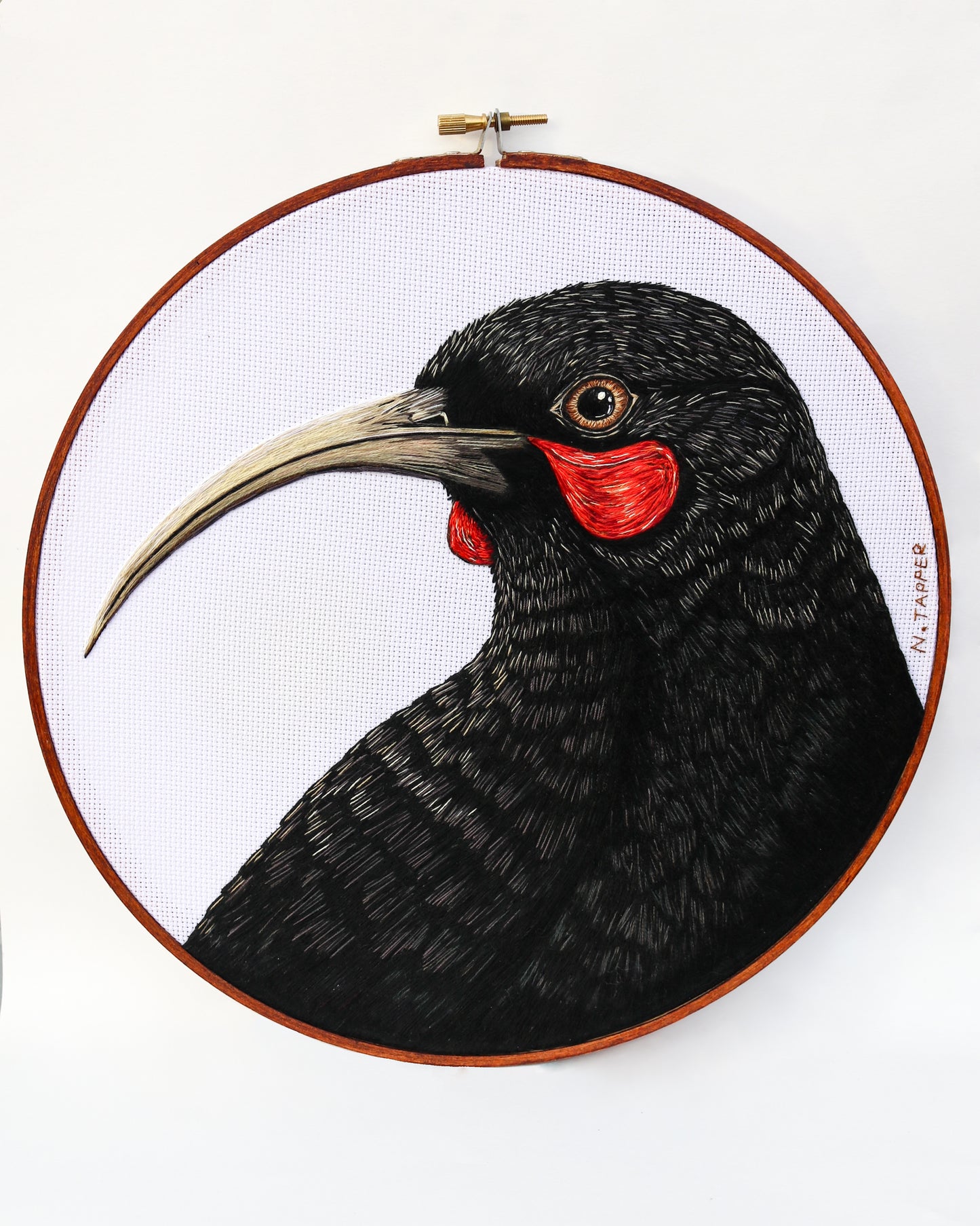 Echoes of the Huia