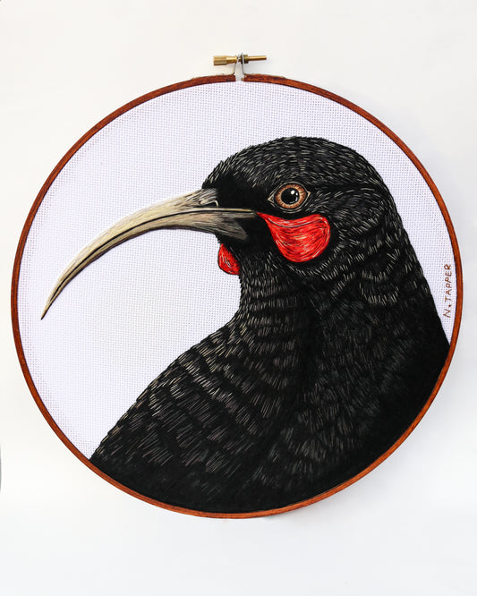 Echoes of the Huia