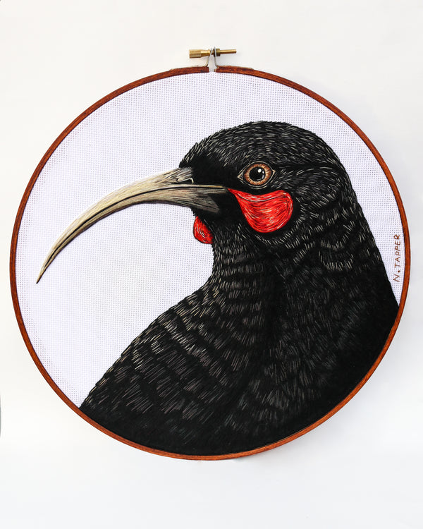 Echoes of the Huia