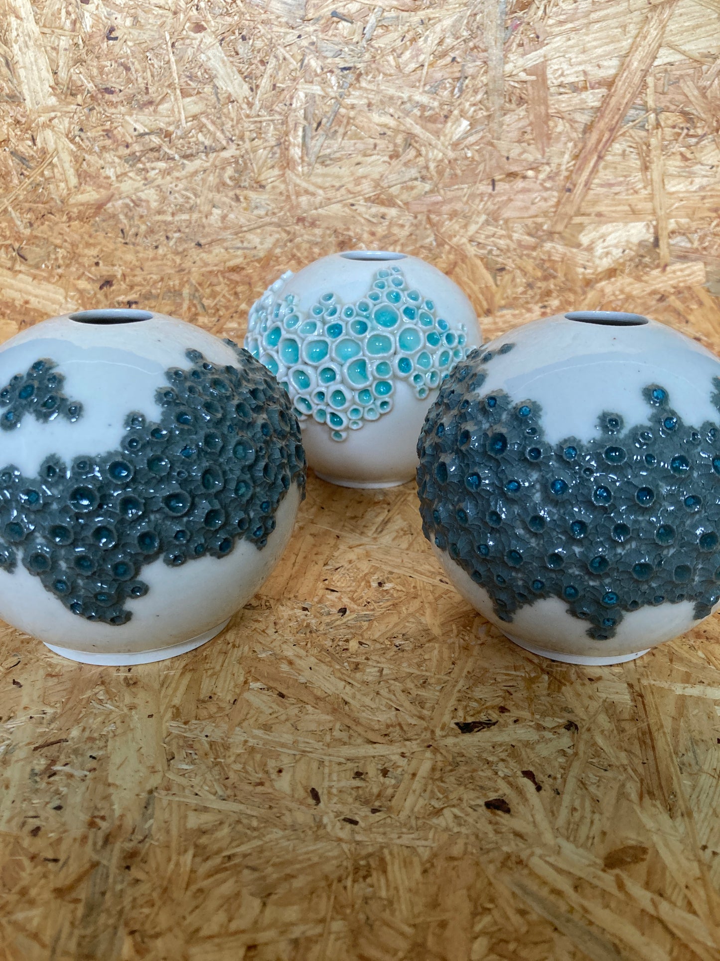 Barnacle Vases