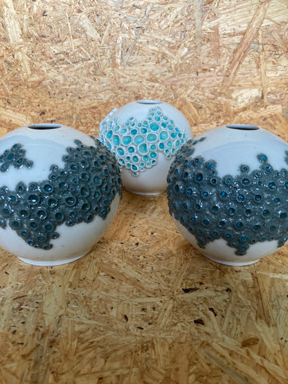 Barnacle Vases