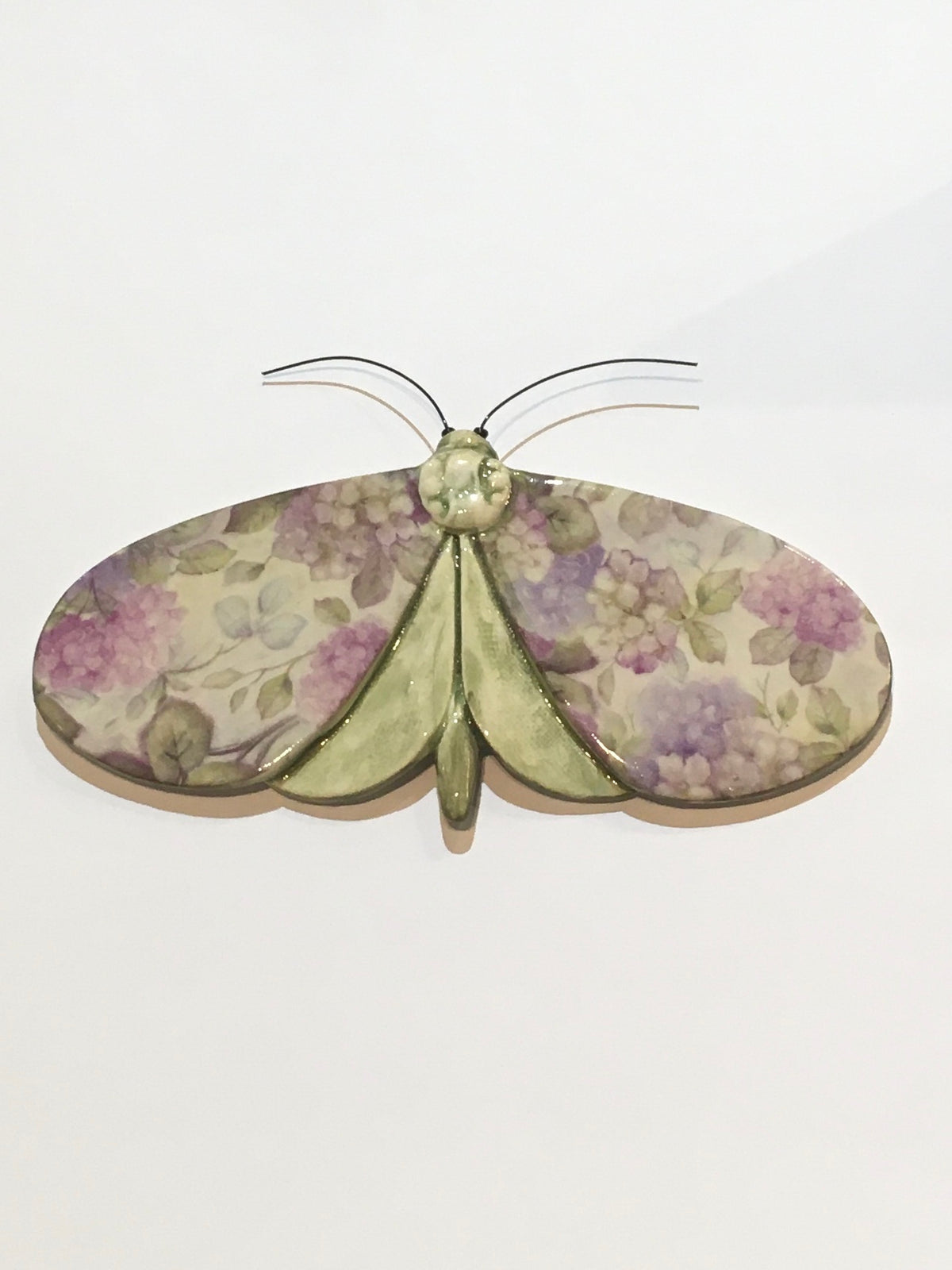 Porcelain Moths