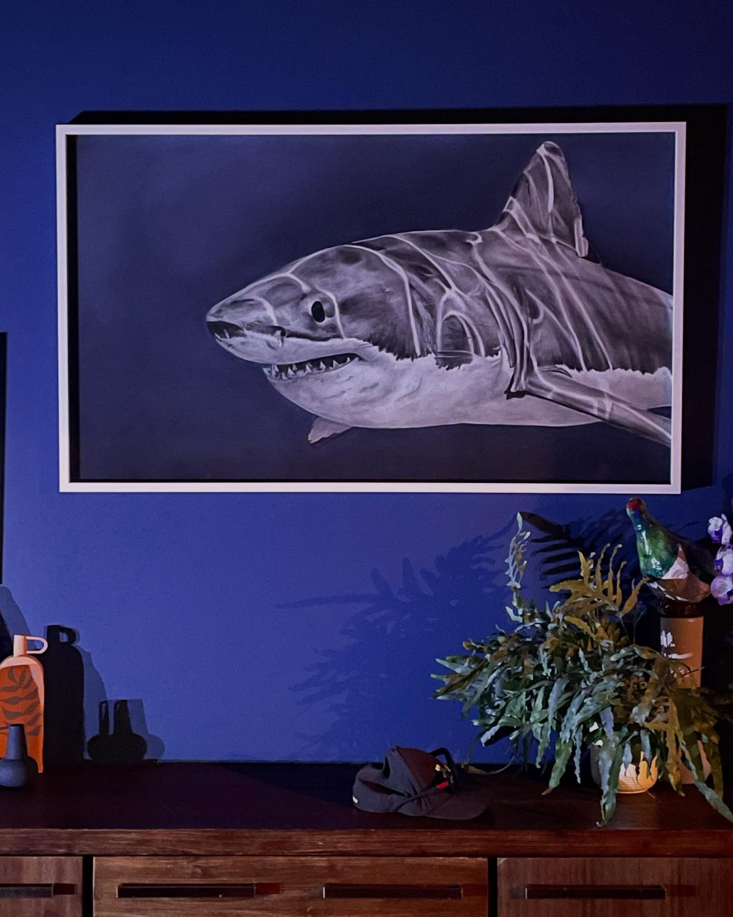 Mango-Taniwha (Great White Shark) 2025 - Original Drawing