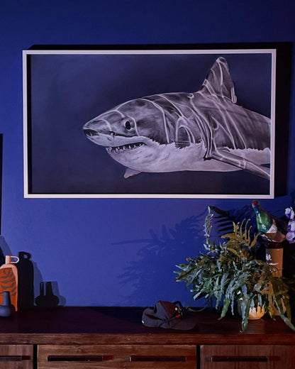 Mango-Taniwha (Great White Shark) 2025 - Original Drawing