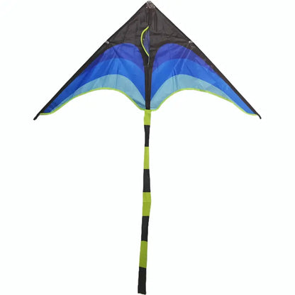 Multicolour Triangle Kite