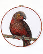 Ember KÄkÄ