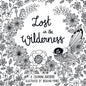 Lost in the Wilderness - Colouring Book