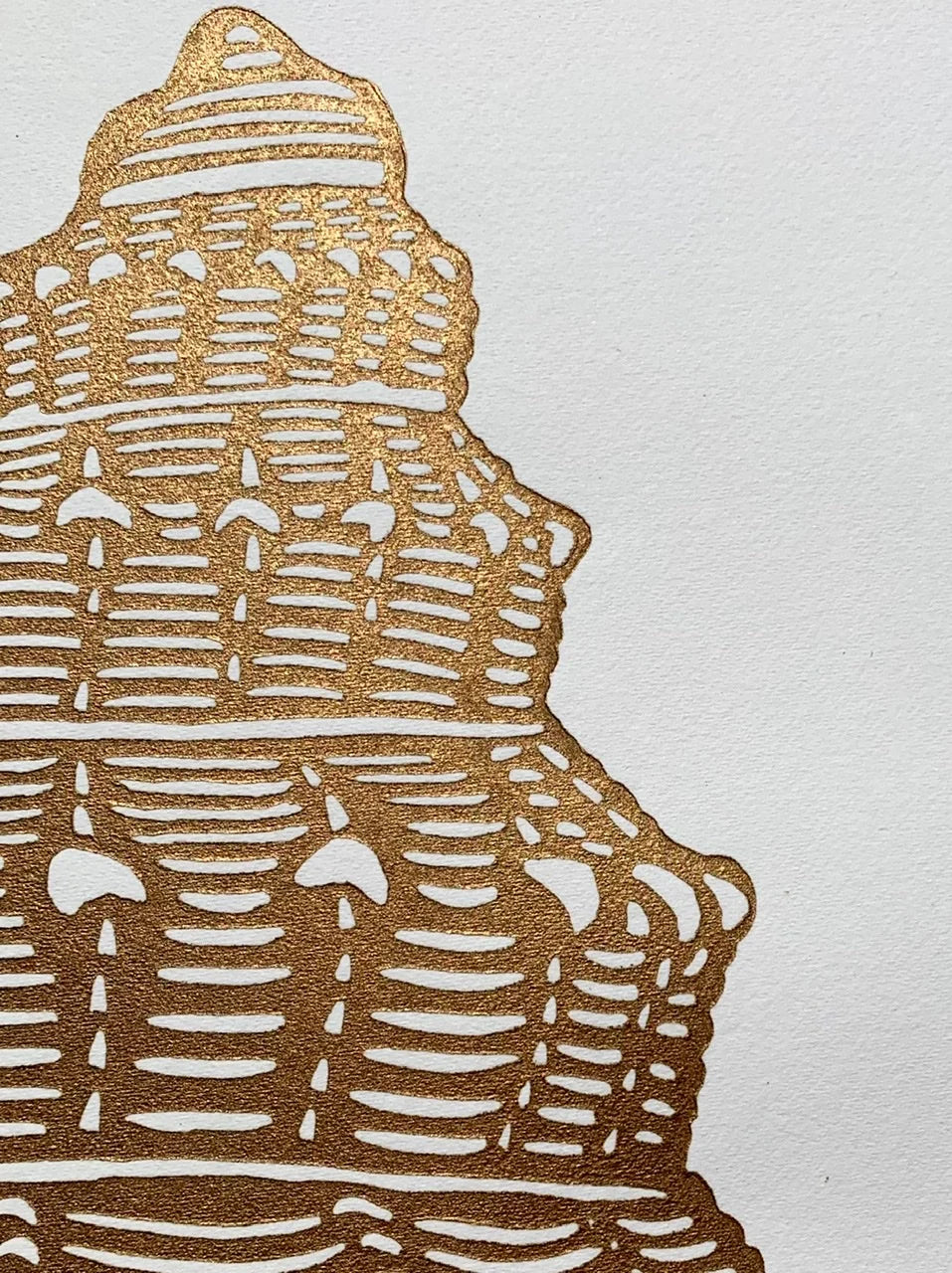 Ostrich Foot Shell - Linocut Print