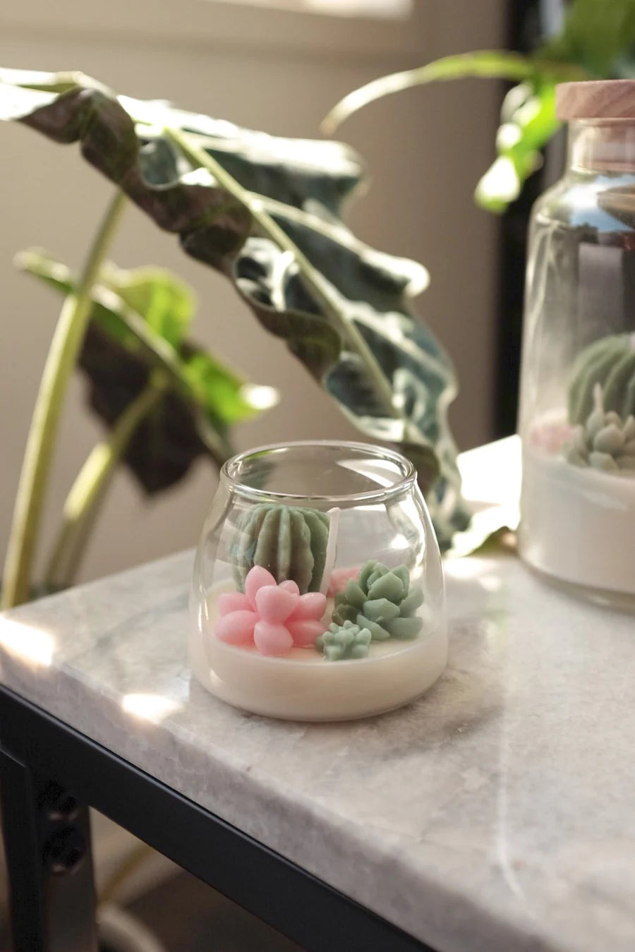 Judean Desert - Terrarium Candle