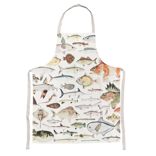 Fishes of NZ Apron