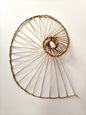 Spiralled